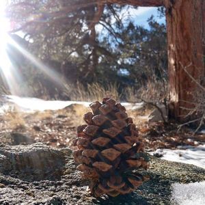 Meet your Posher, Phillip